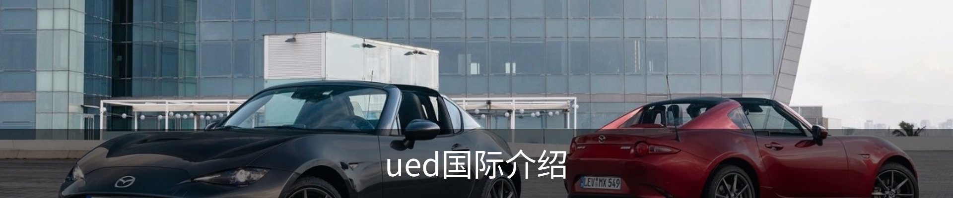 ued国际介绍